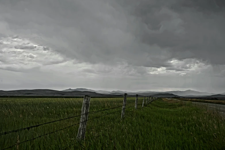 a po of some grass by a fence