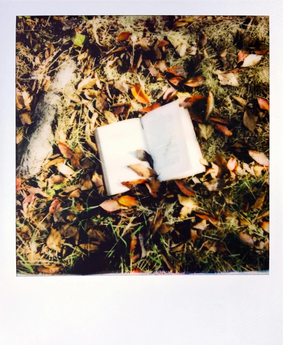 an image of someones white square piece of paper laying on the ground