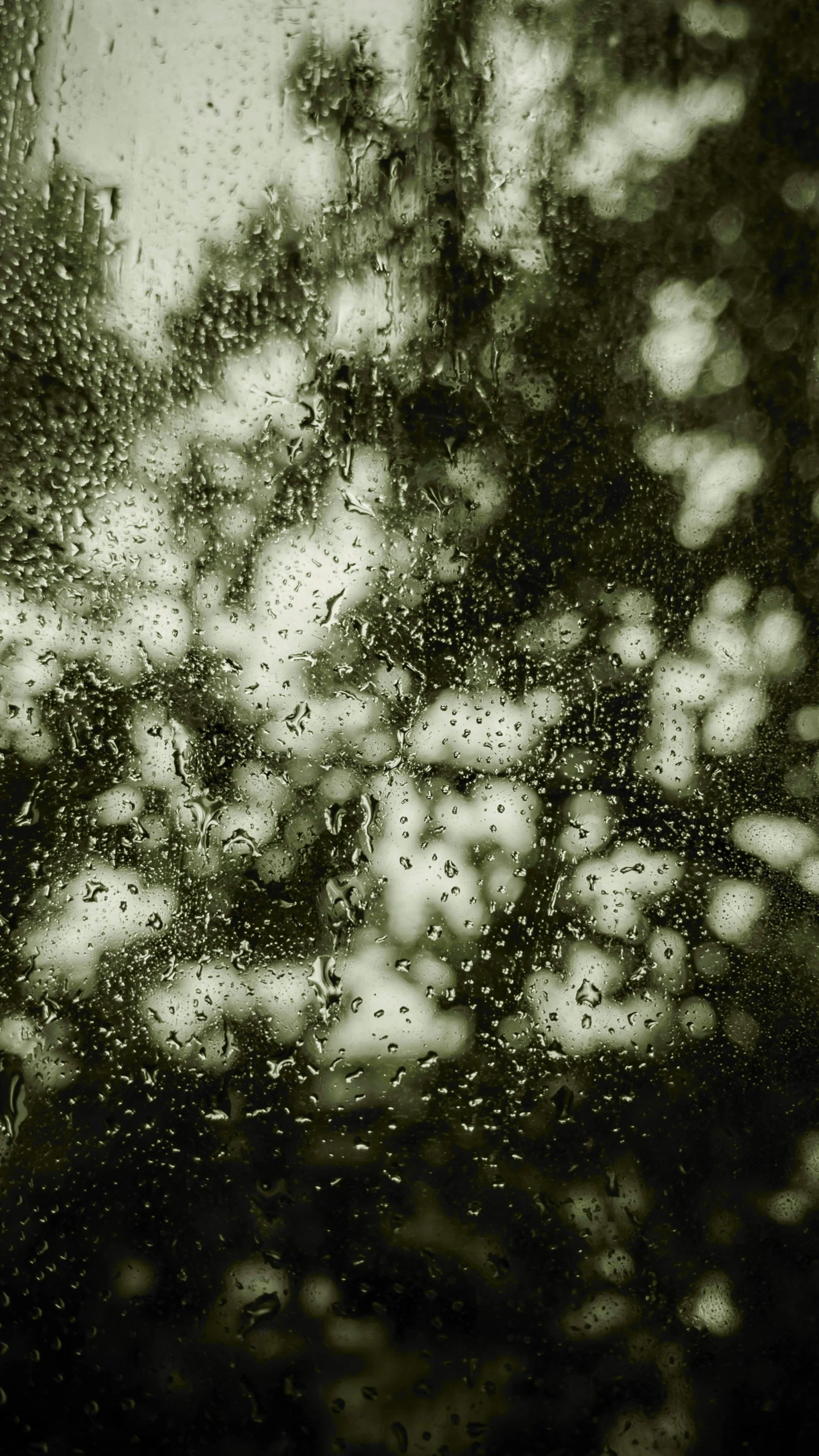 this is rain that has fallen down on the window of a car