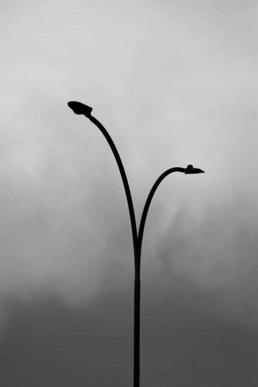 two street lights with bird perched on them