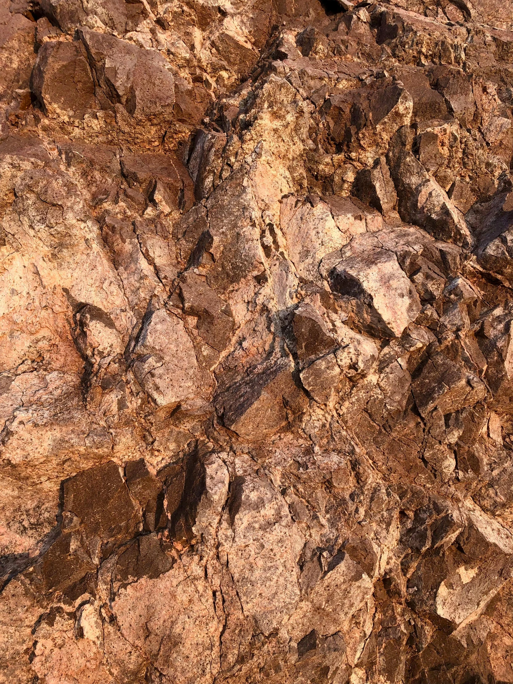 some rocks covered with dirt and one lone bird standing on the edge