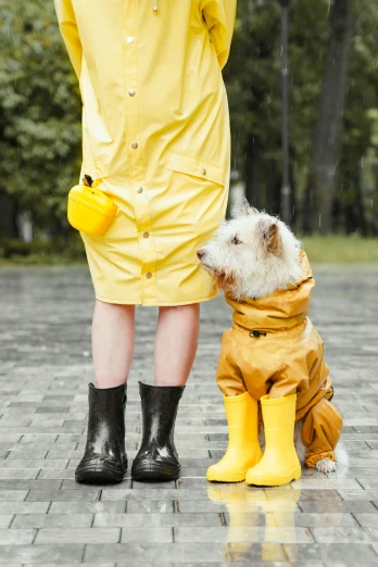 a dog in a raincoat and rubber boots