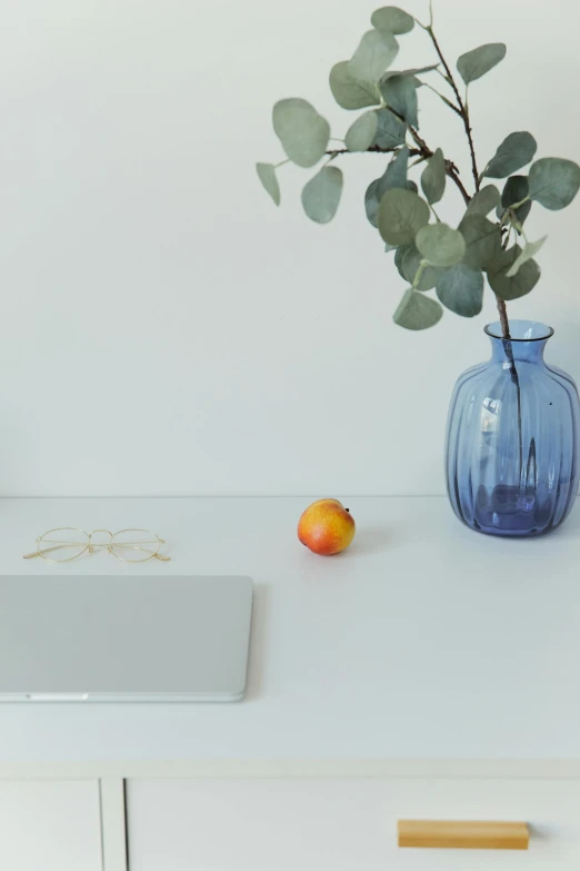 a plant and an orange are on a table