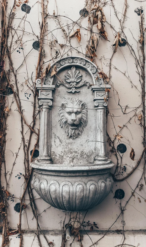 a fountain that is surrounded by vines on the wall