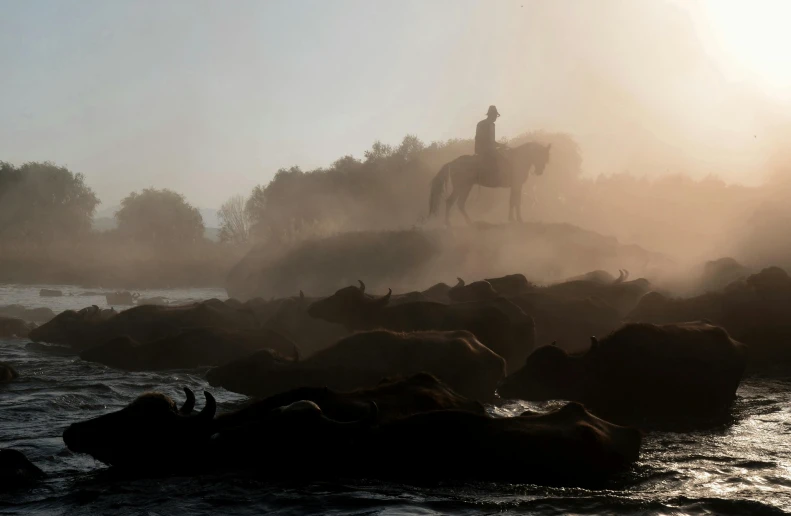 a man is riding a horse across the water