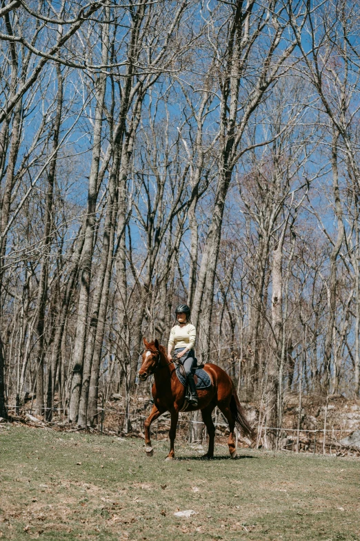 a man riding a horse in the woods