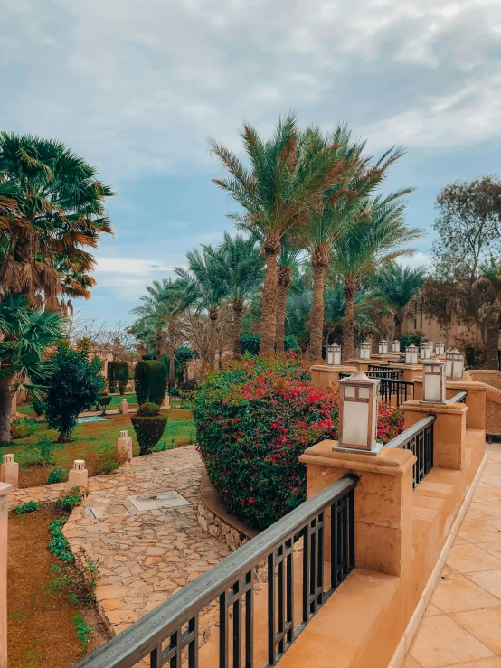 a walkway in the middle of an outdoor garden