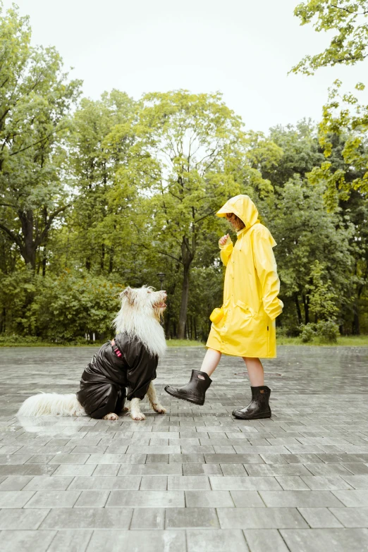 a man dressed in raincoat and boots walking two dogs