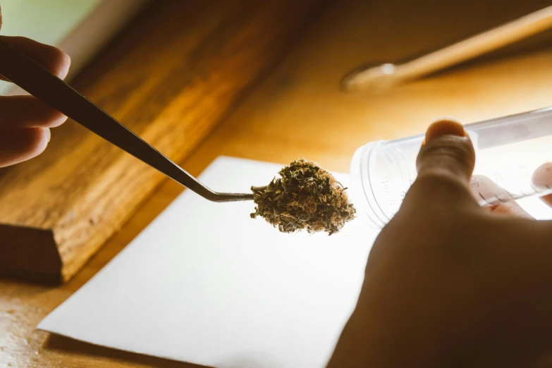 a person holds a spoon and sticks a weed into a clear container