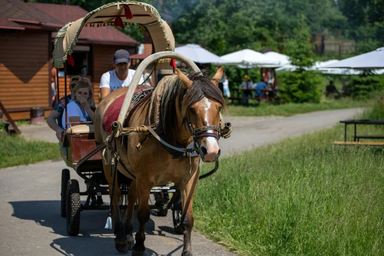 a horse pulling a covered wagon with people riding it