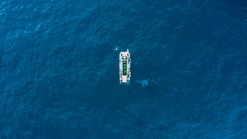 aerial view of boat floating on water near shore