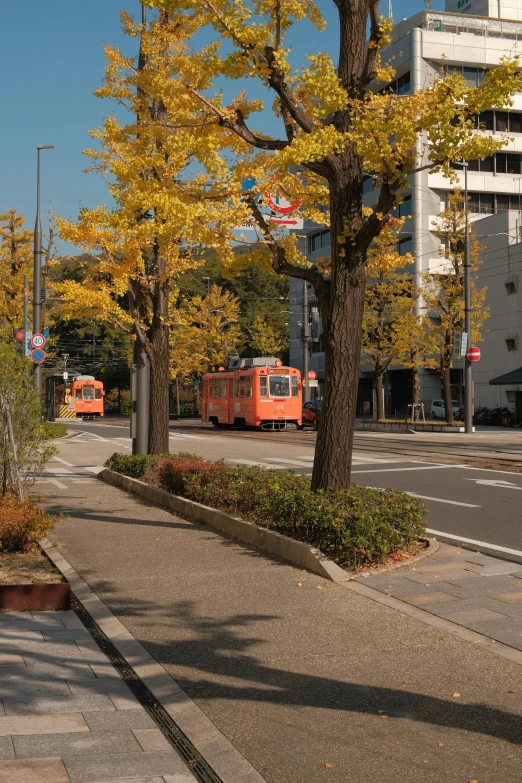 the city has an orange bus and some trees