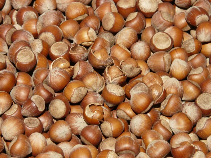 many different nuts in a large pile