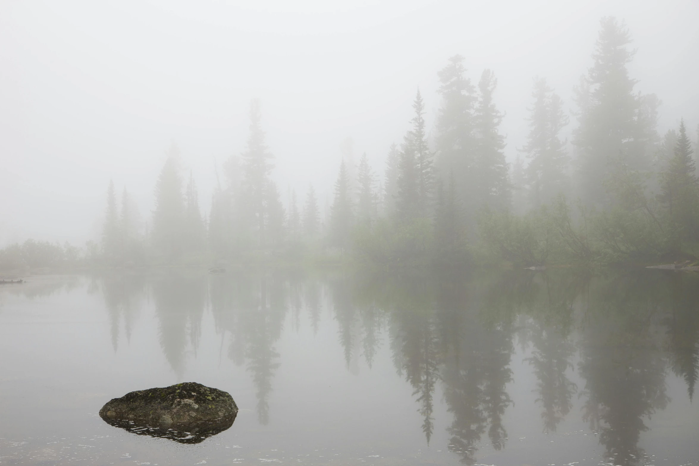 trees and rocks are in the fog by a calm body of water