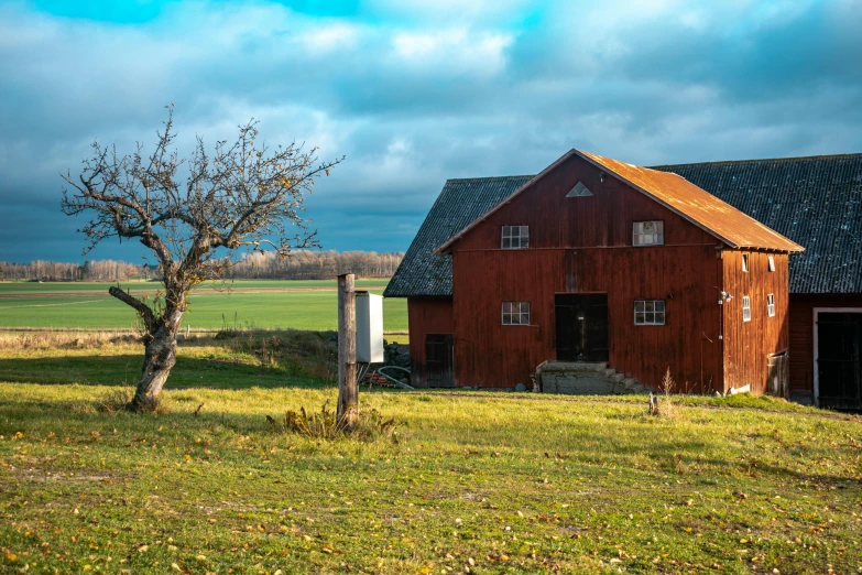 a red barn is next to a tree in an open field