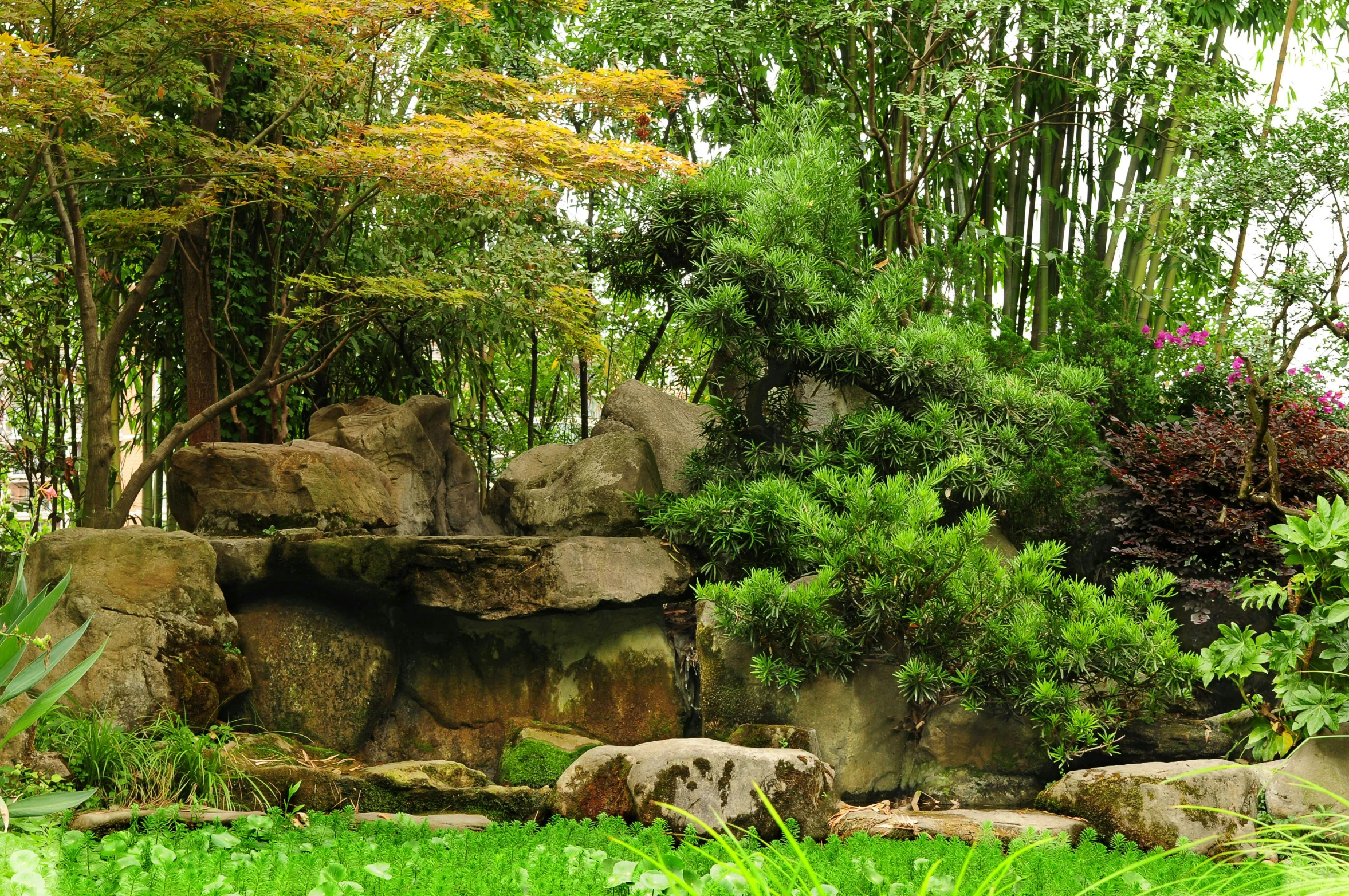 an elephant laying in the grass near trees and rocks