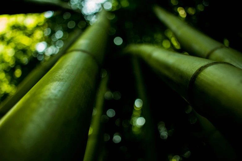 some green pipes standing in front of some trees