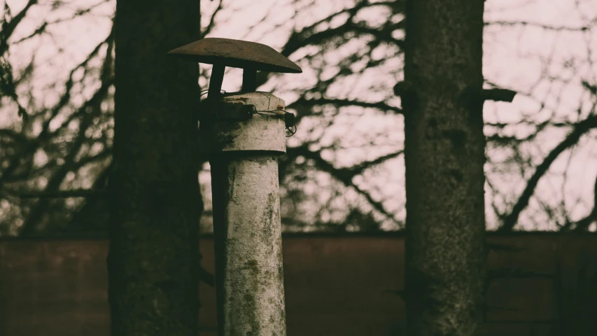 a light with an umbrella in between two trees