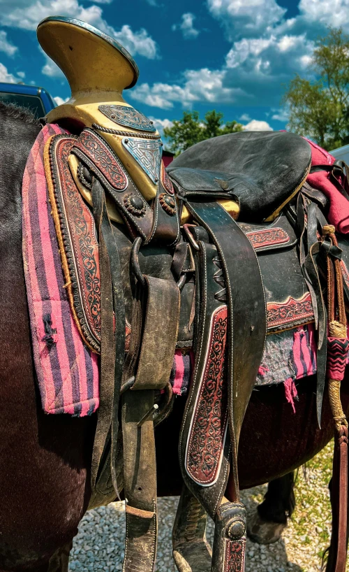 a horse has saddles with different colored fabrics