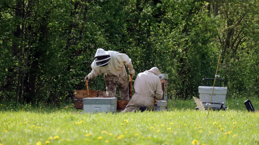 people in full suits and bee suits standing in a field next to trees