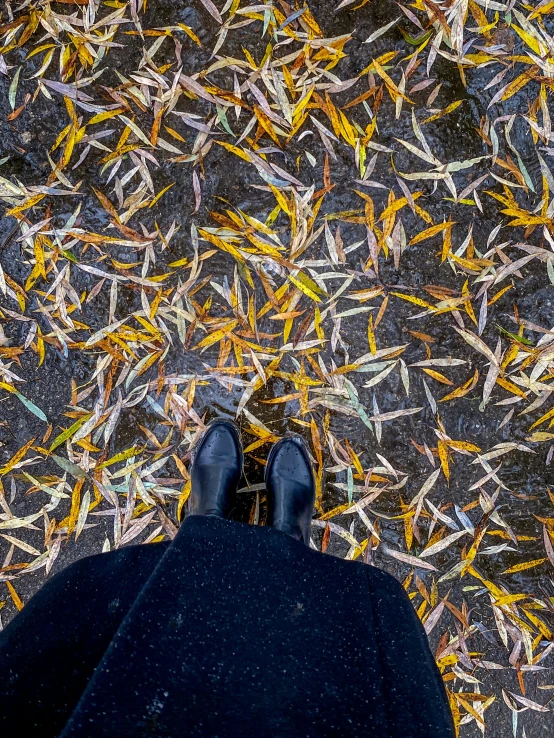 someone walking on some grass with a bunch of confetti around them