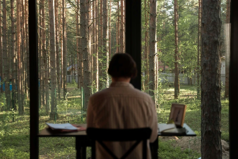 person sitting at desk, looking out of screened porch with tree - lined area