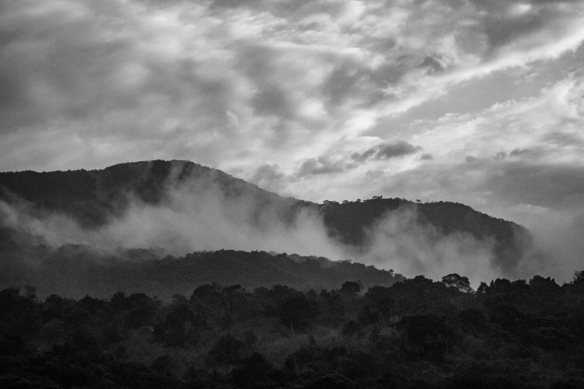 a black and white po shows trees, hills, and cloudy sky