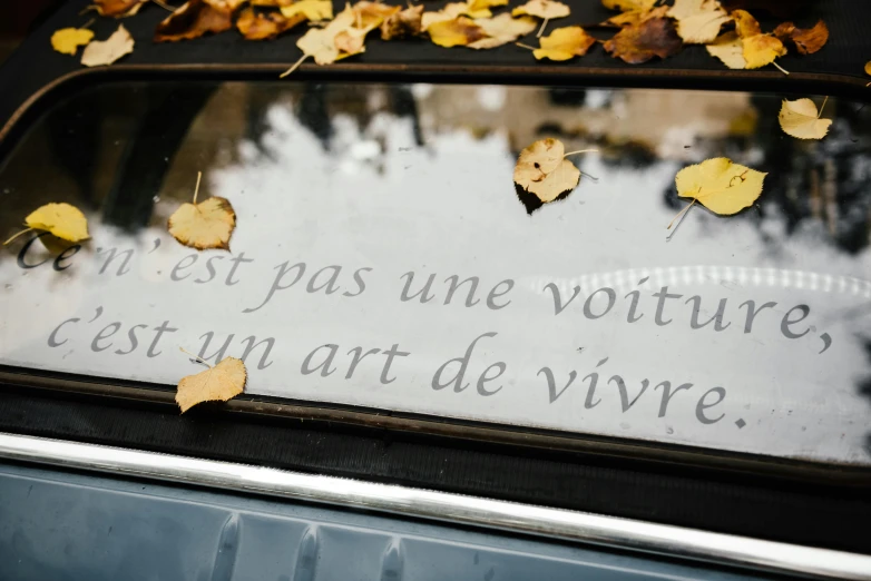 leaves fall off from trees near a parked car