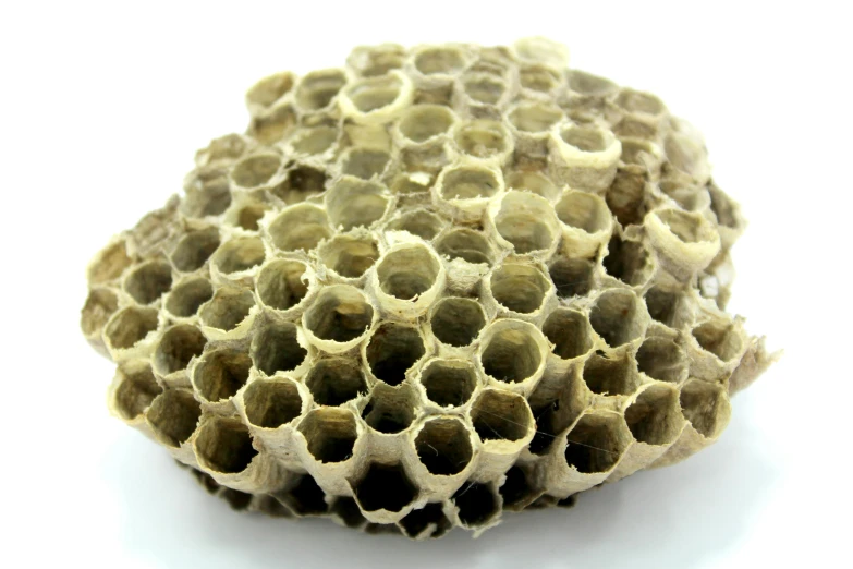 a group of hexagonal shaped objects on a white background