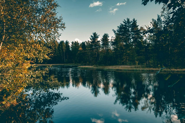 a lake and trees reflect in the water