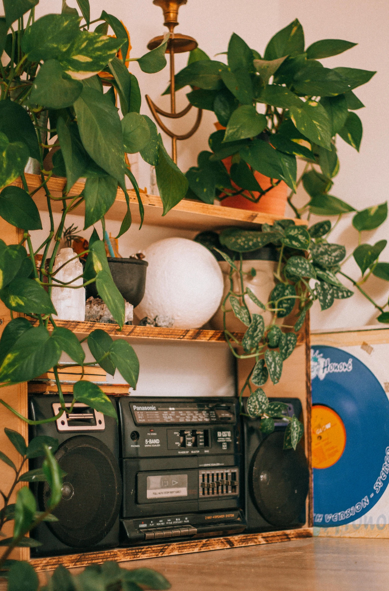 a shelf containing various items and plants sitting on top of it