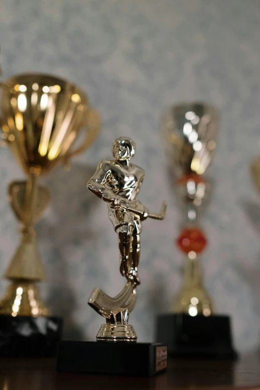 a row of trophies on a wooden table