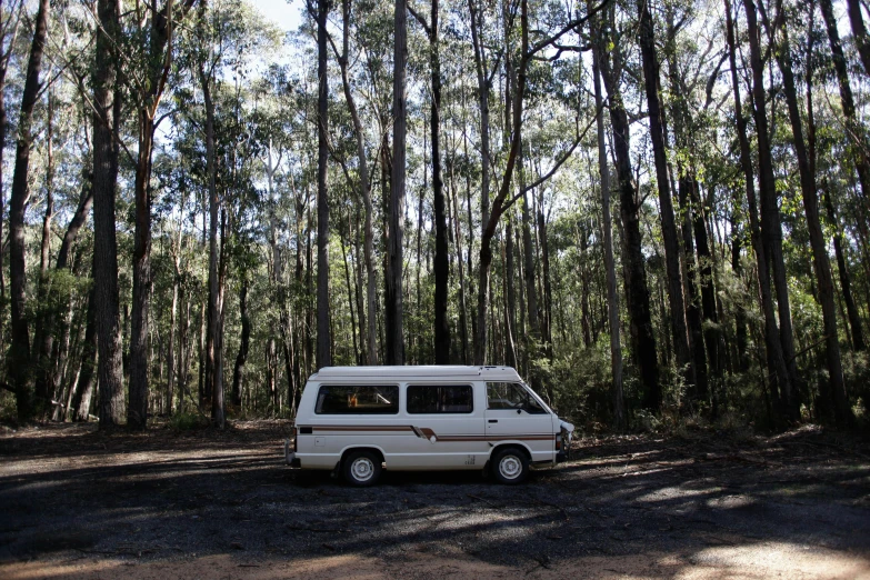 a van driving down a dirt road in a forest