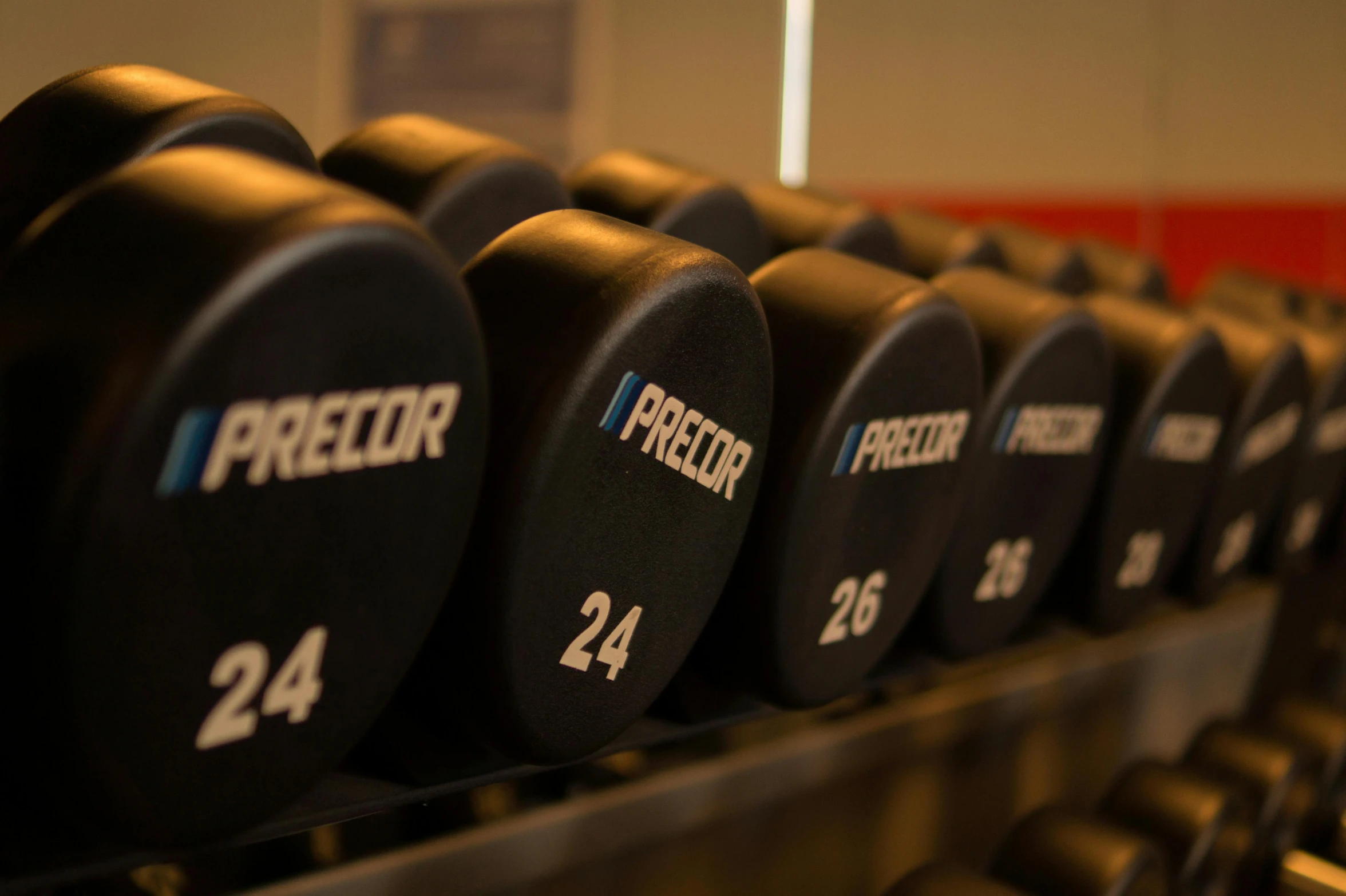 many weight plates sitting side by side in the rack