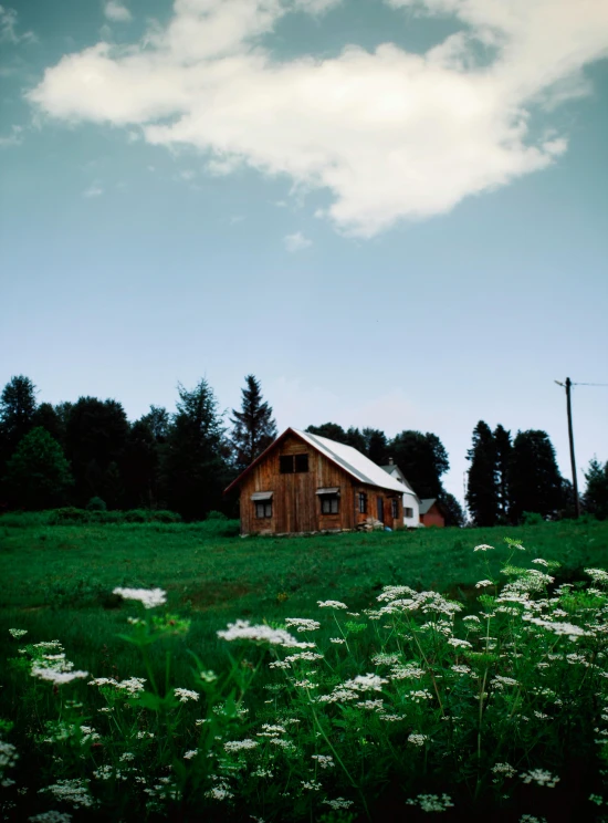 a picture of a barn in the middle of some wild flowers