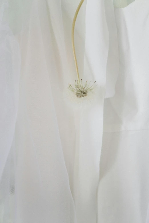 white fabric with a tiny flower sticking out of it