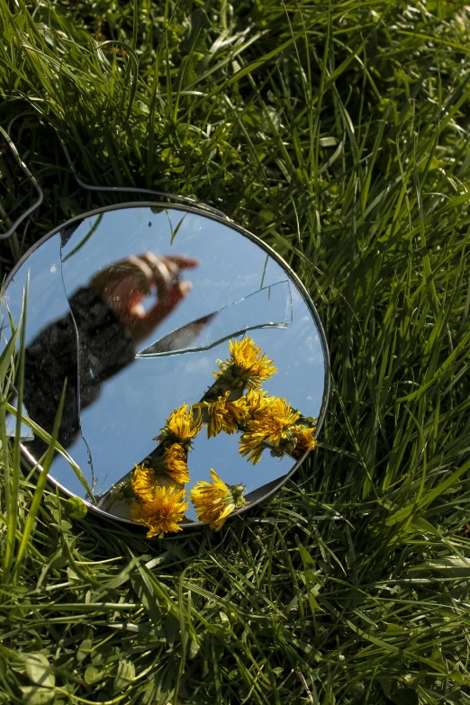 a round mirror is in the grass with some flowers around it