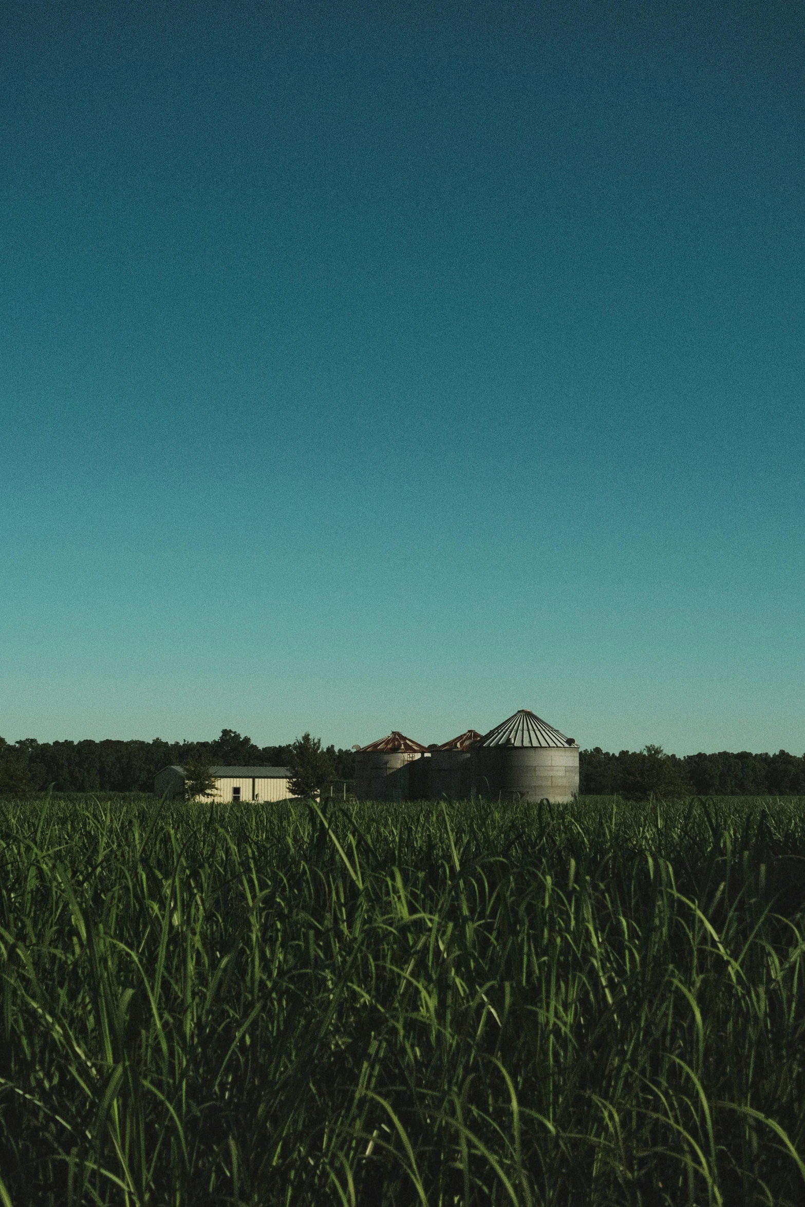 a field with two silos sitting in it