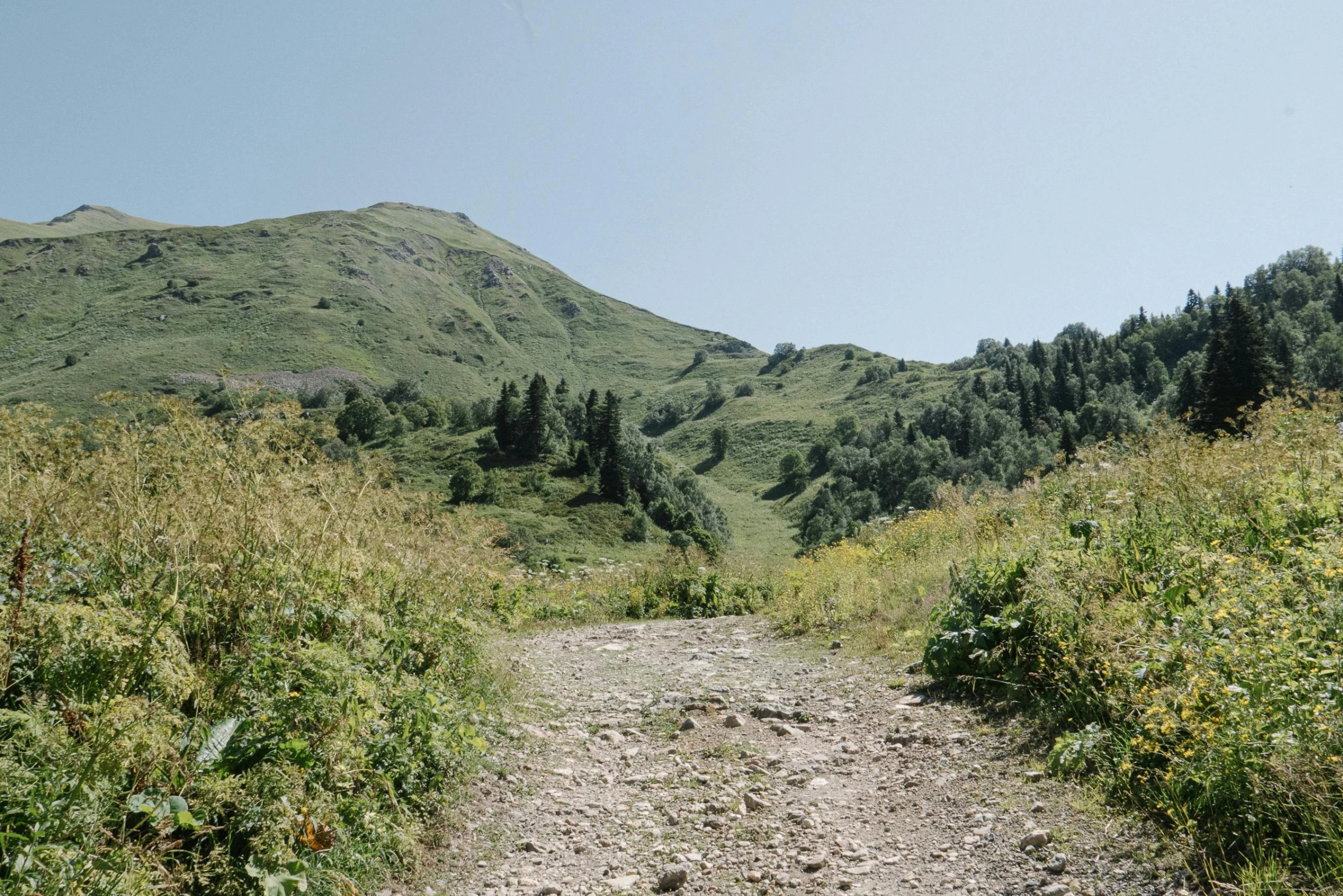 a path is seen in this image as part of a hike