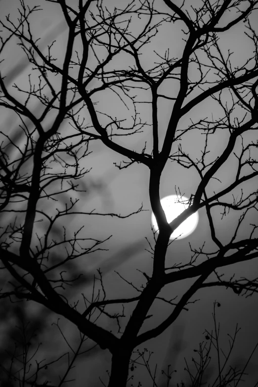 an image of a moon on a hazy day