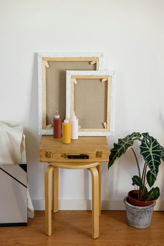 there is a table and a potted plant in the room