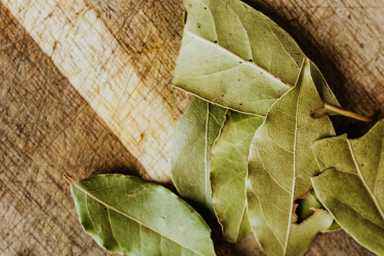 the leaves are laying on the wood