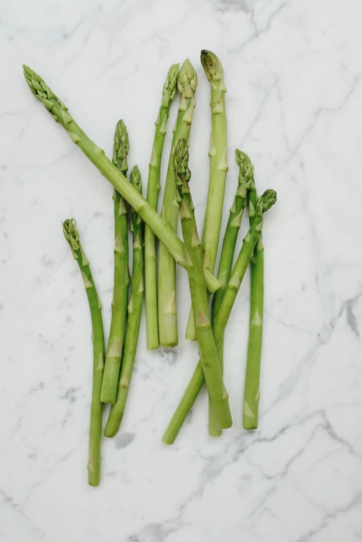 asparagus sprouts on a marble surface