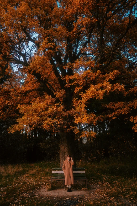 a man standing in front of a bench surrounded by trees