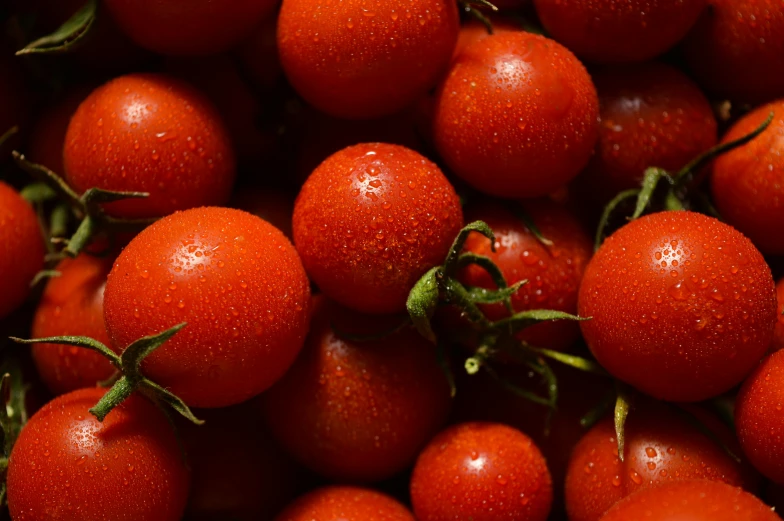 several red tomatoes are shown with drops on them