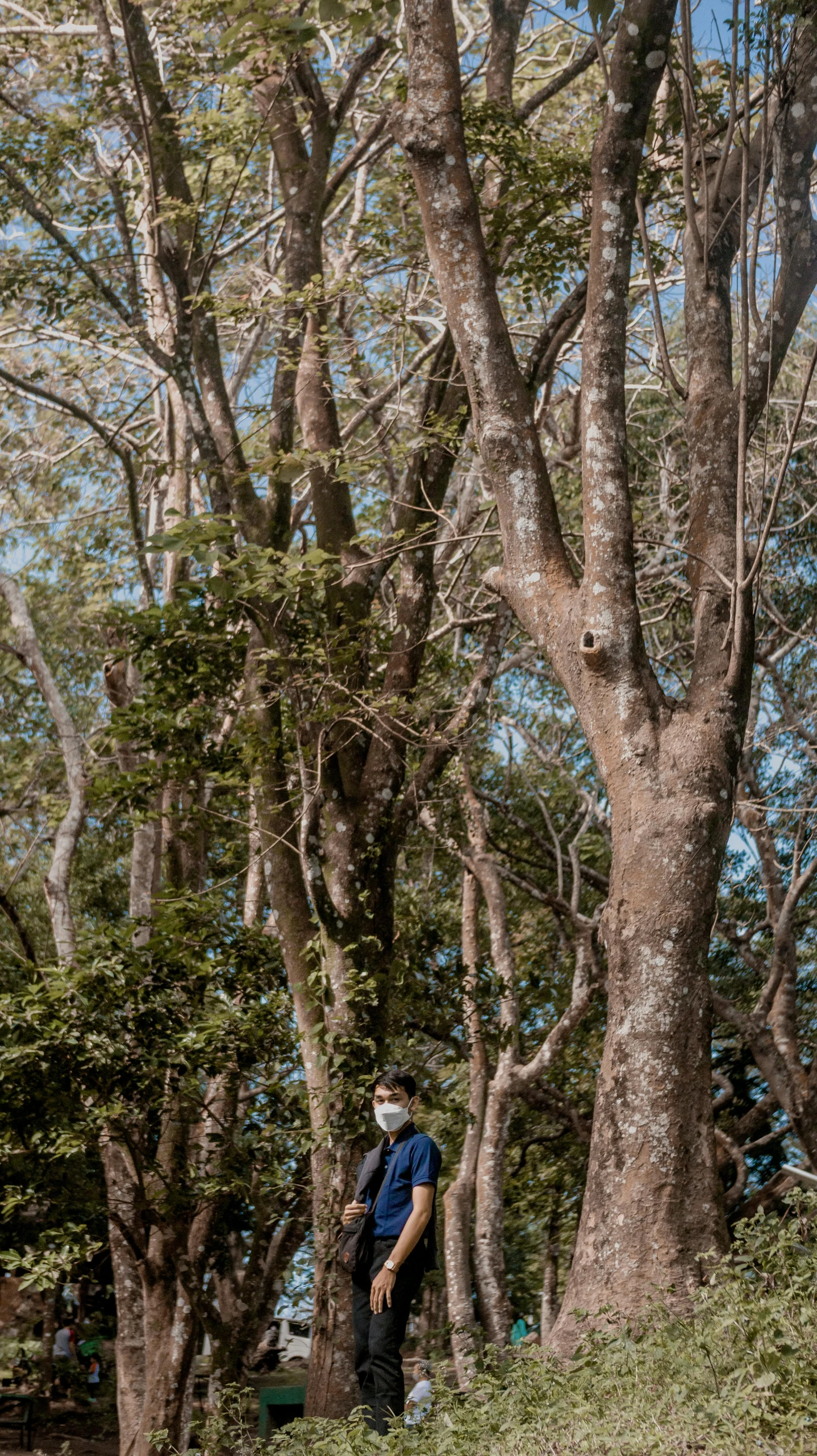 the person is standing by the trees wearing a protective mask