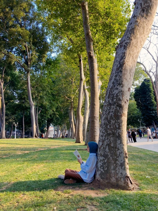 a person sitting under a tree reading a book