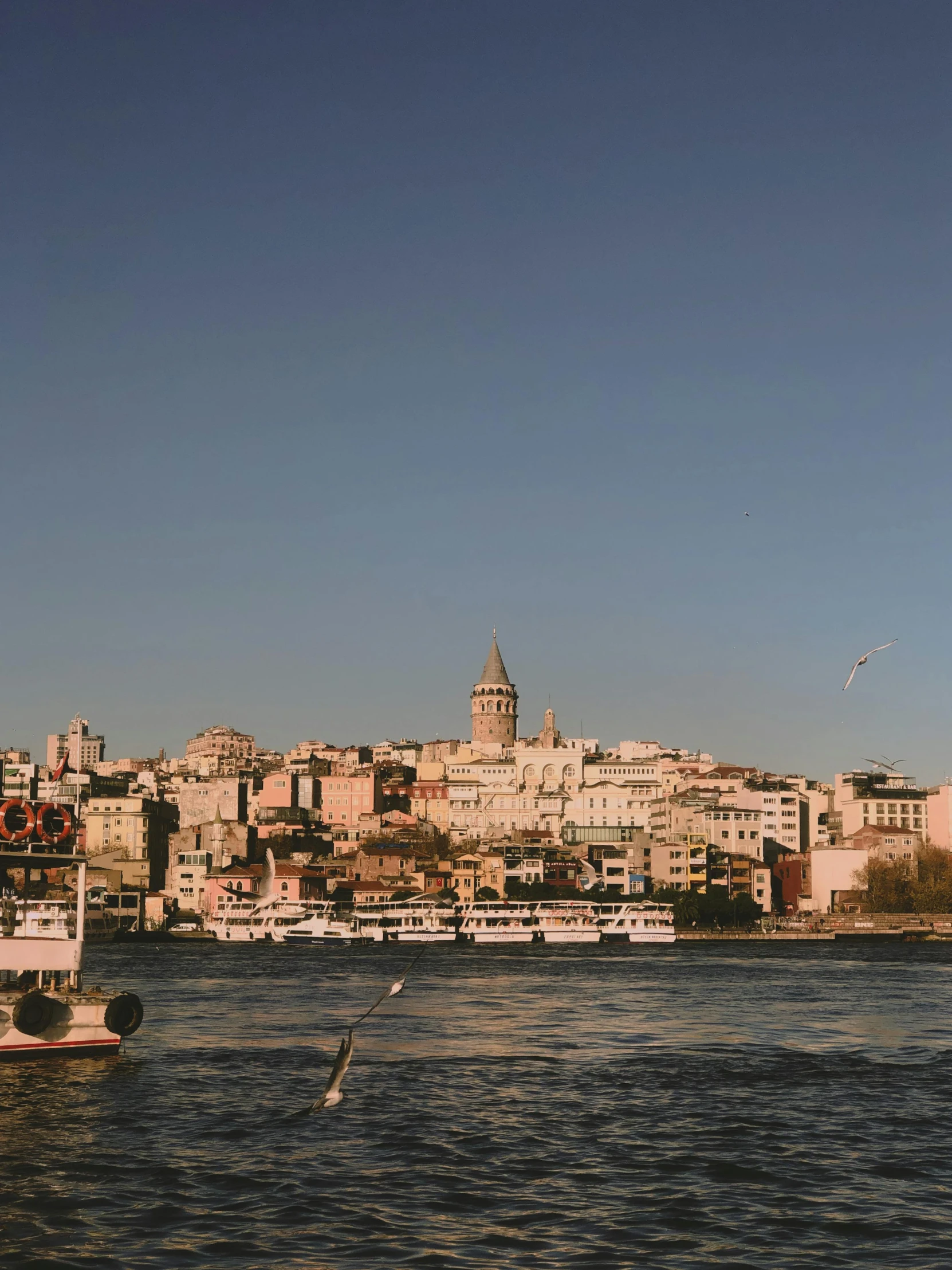 boats are in the water near the city skyline