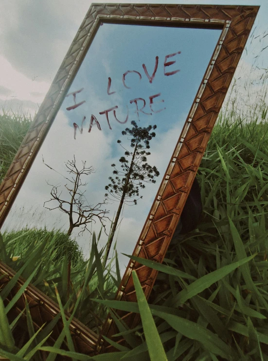 a mirror with writing that says love nature