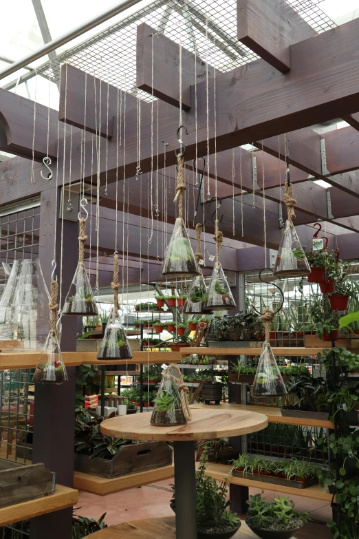 this indoor nursery has hanging plants in glass vases and birdhouses